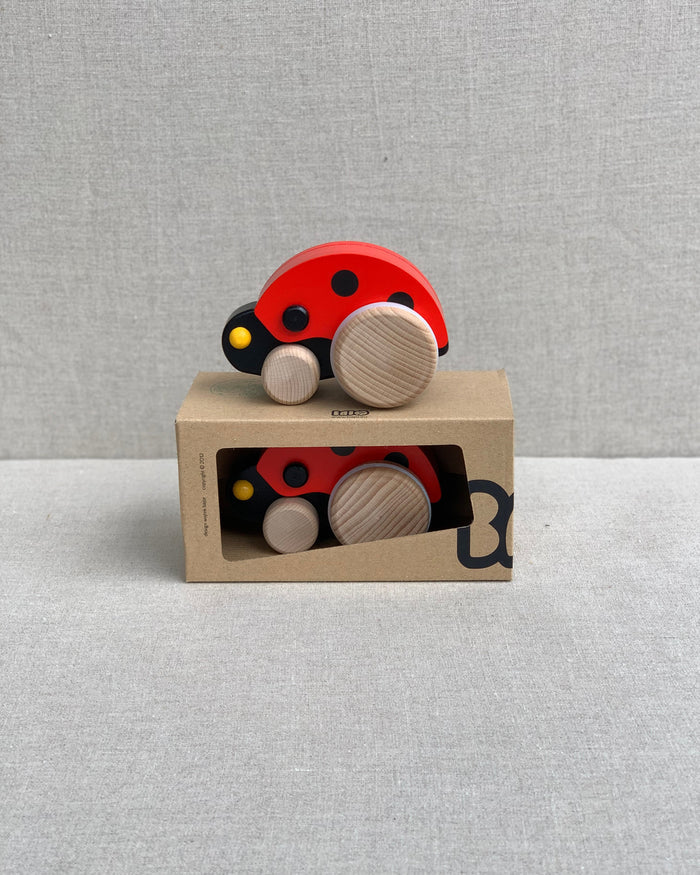 Bajo Ladybird Bug