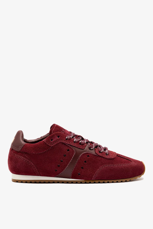 Stella Sneaker In Burgundy Suede