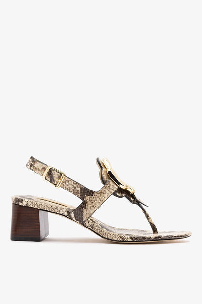 Margherita Block Thong Sandal Snake Leather