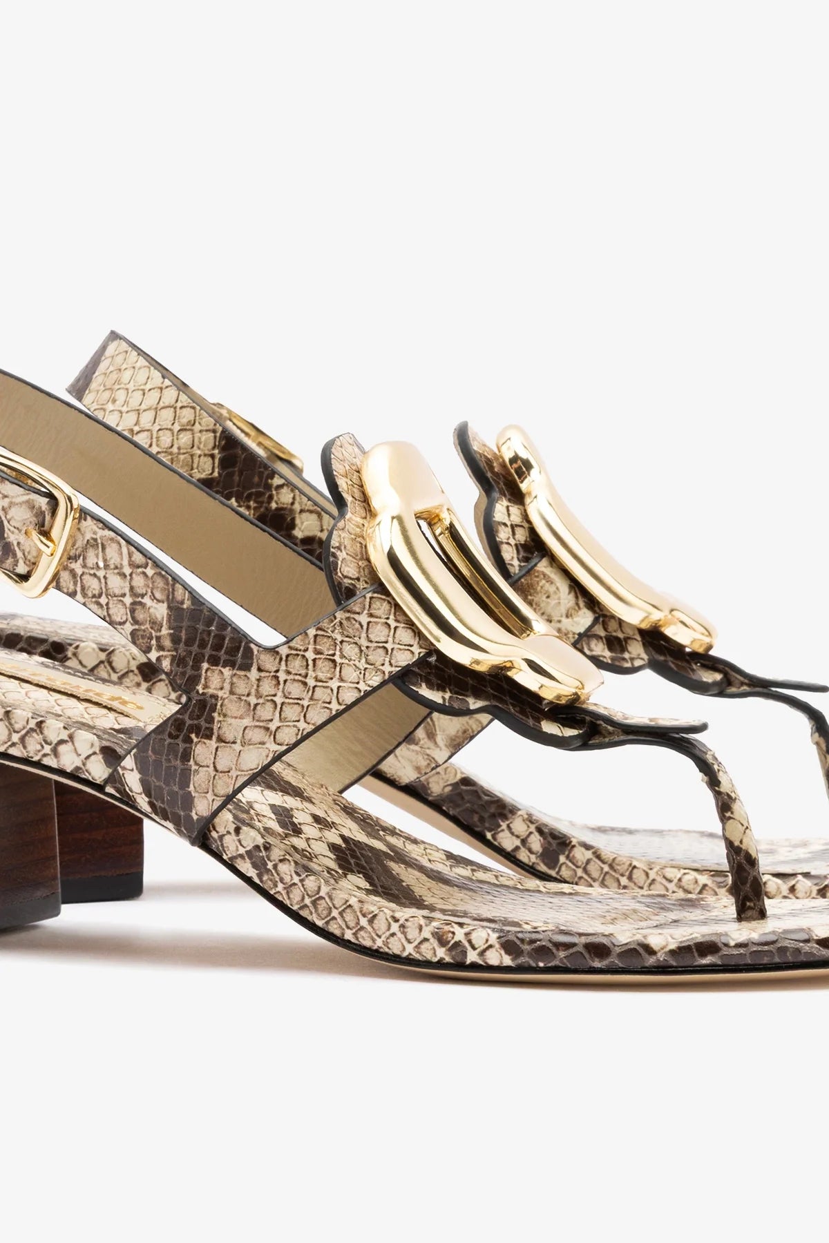 Margherita Block Thong Sandal Snake Leather