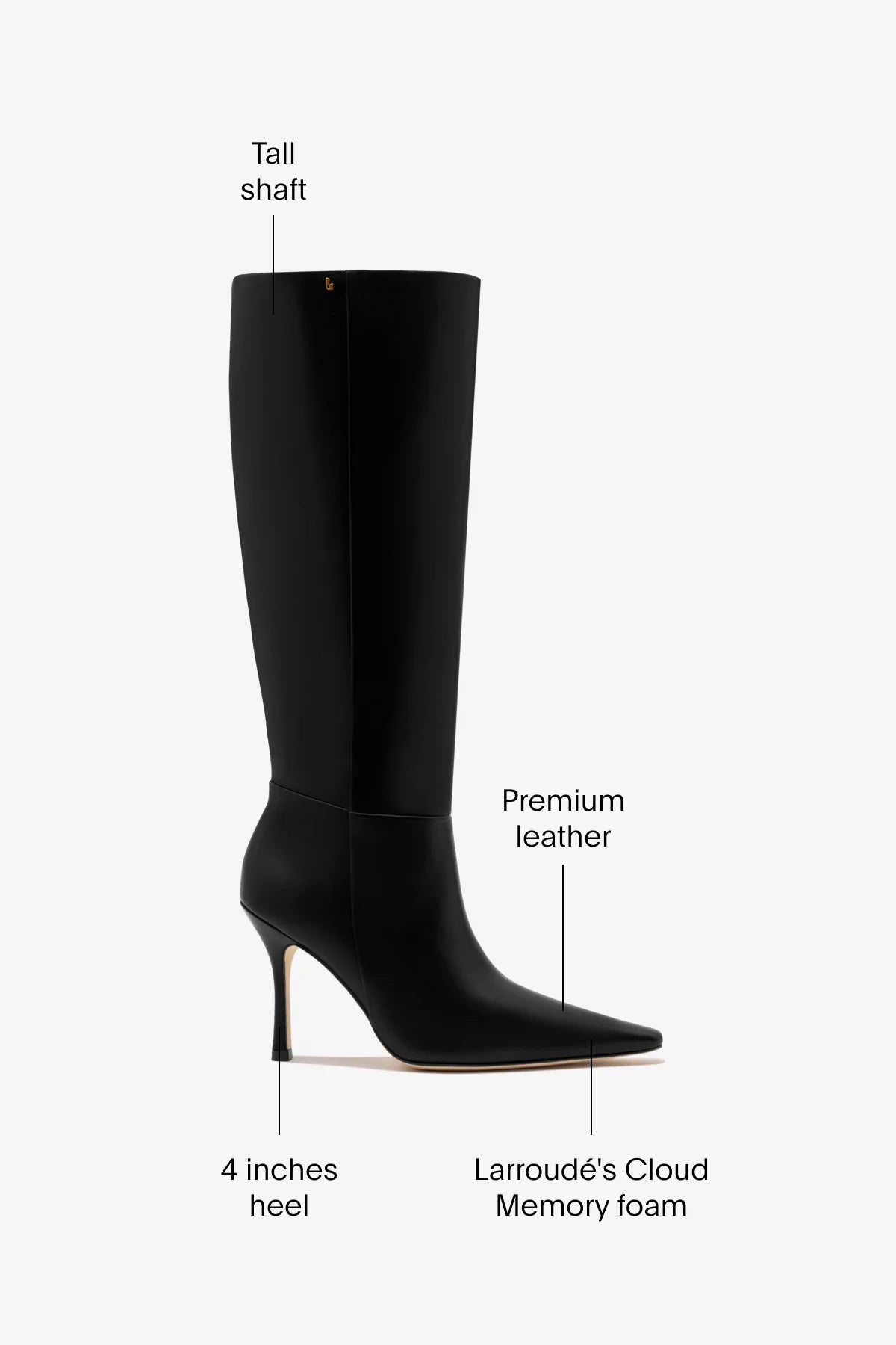 Carine Boot In Black Leather