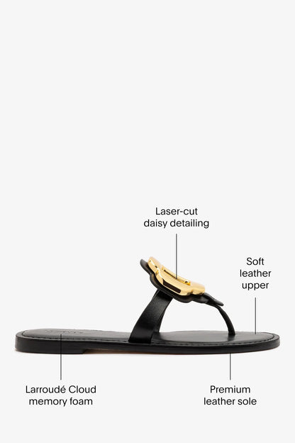 Margherita Thong Sandal in Black Leather and Gold Hardware