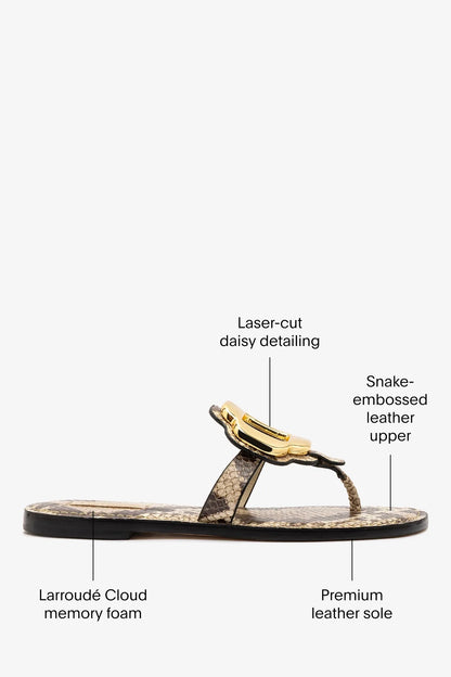Margherita Thong Sandal in Neutral Snake Leather and Gold Hardware