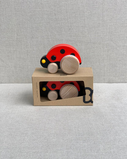 Bajo Ladybird Bug