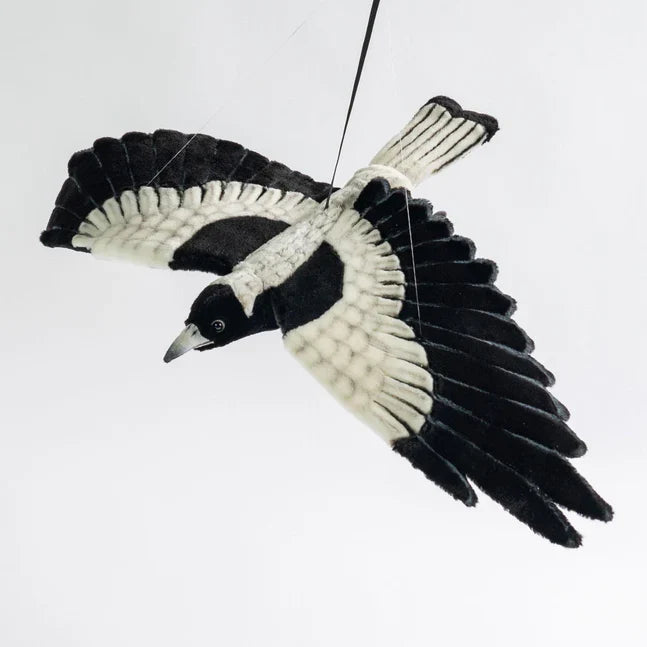 Hansa Magpie Flying 65cm