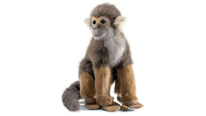 Hansa Squirrel Monkey
