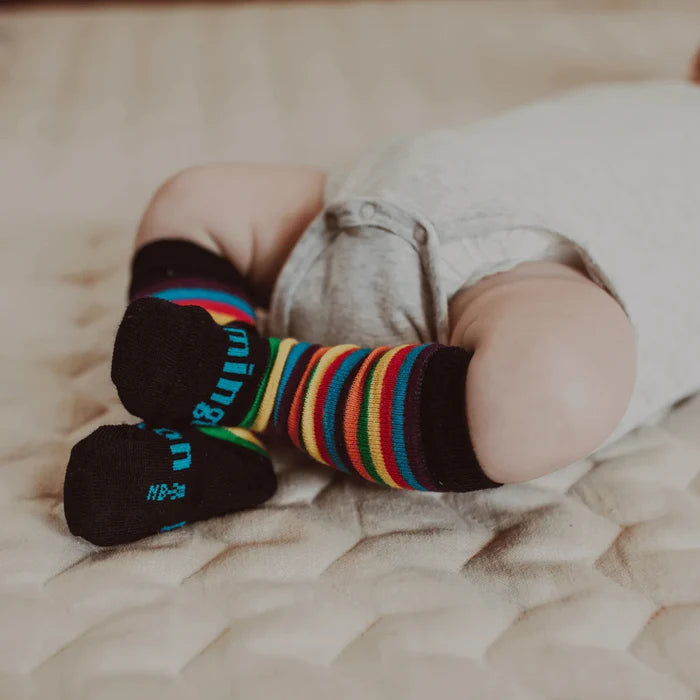 Lamington Baby Merino Knee High Socks - Jester