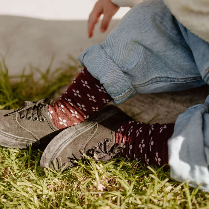 Lamington Baby Merino Knee High Socks - Ritz