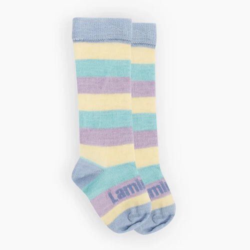 Lamington Baby Merino Knee High Socks - Sherbert