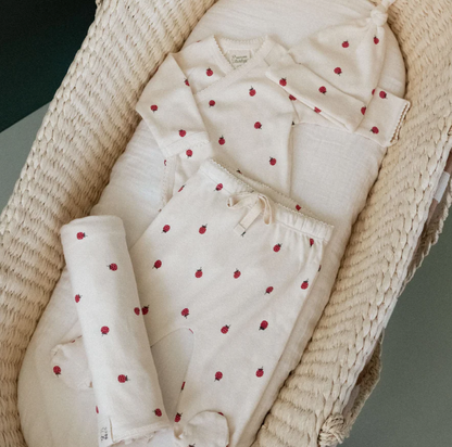 Nature Baby - Welcome Home Bundle - Raspberry